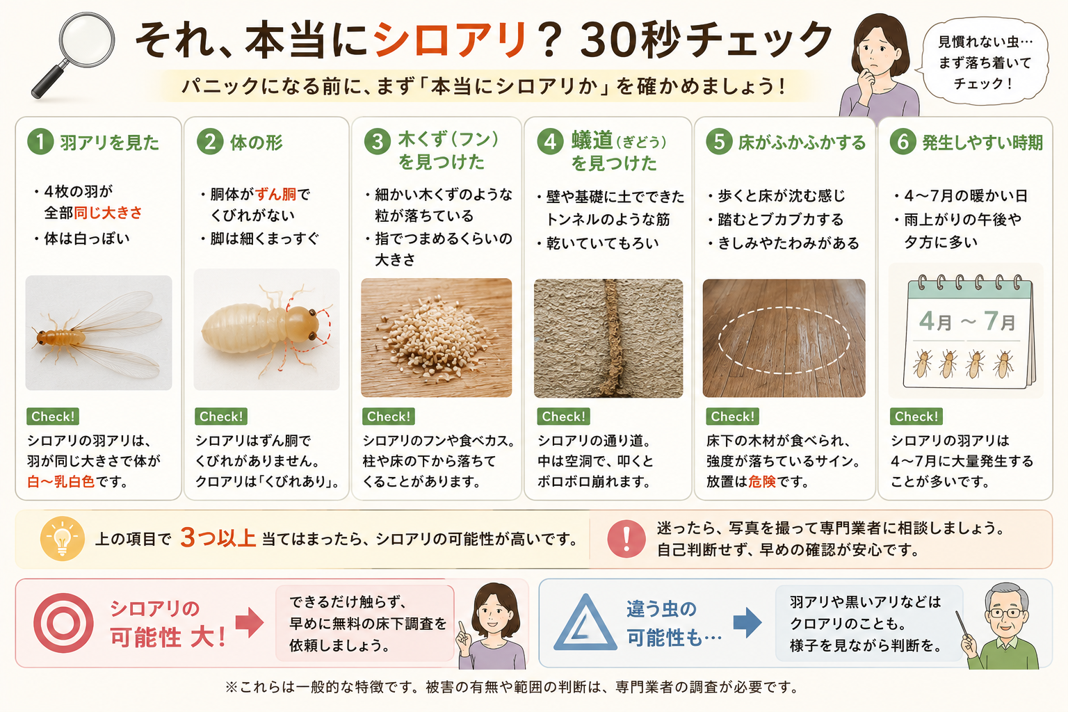 羽アリ・木くず・蟻道・床のふかふか。まず本当にシロアリかを30秒でチェック。