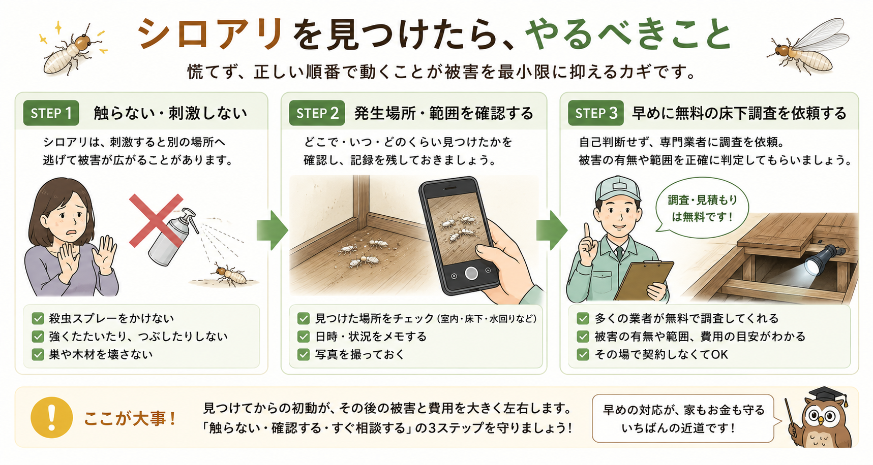 触らない→発生場所を確認→早めに無料調査。見つけたらやるべきことです。