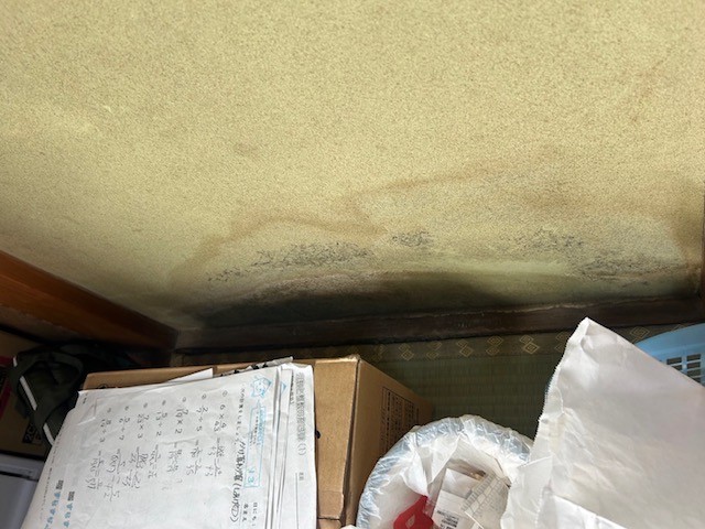 浴室に隣接する壁にできた湿気のシミ