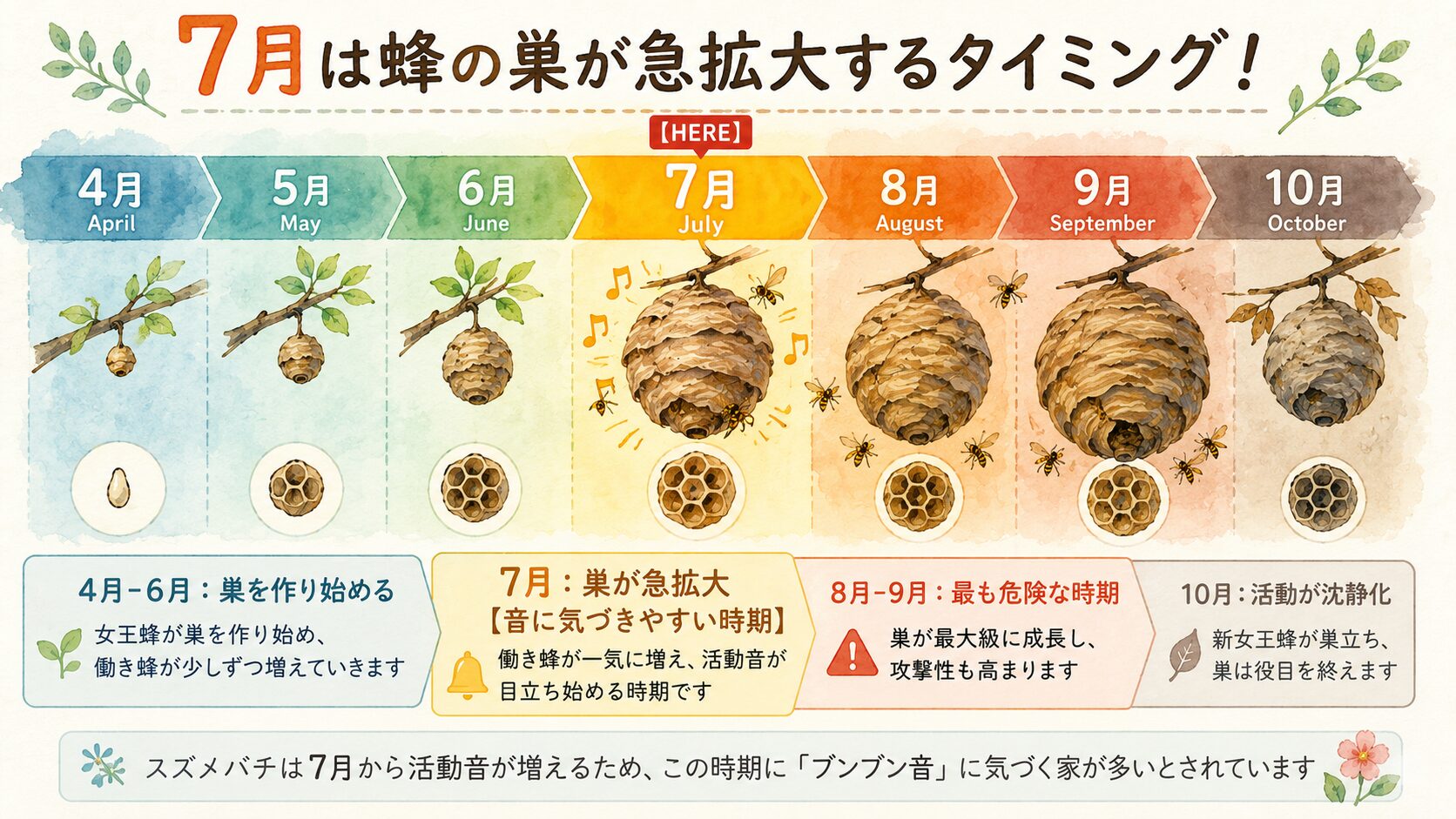7月に蜂の巣が急拡大するタイミングを示す季節性図解